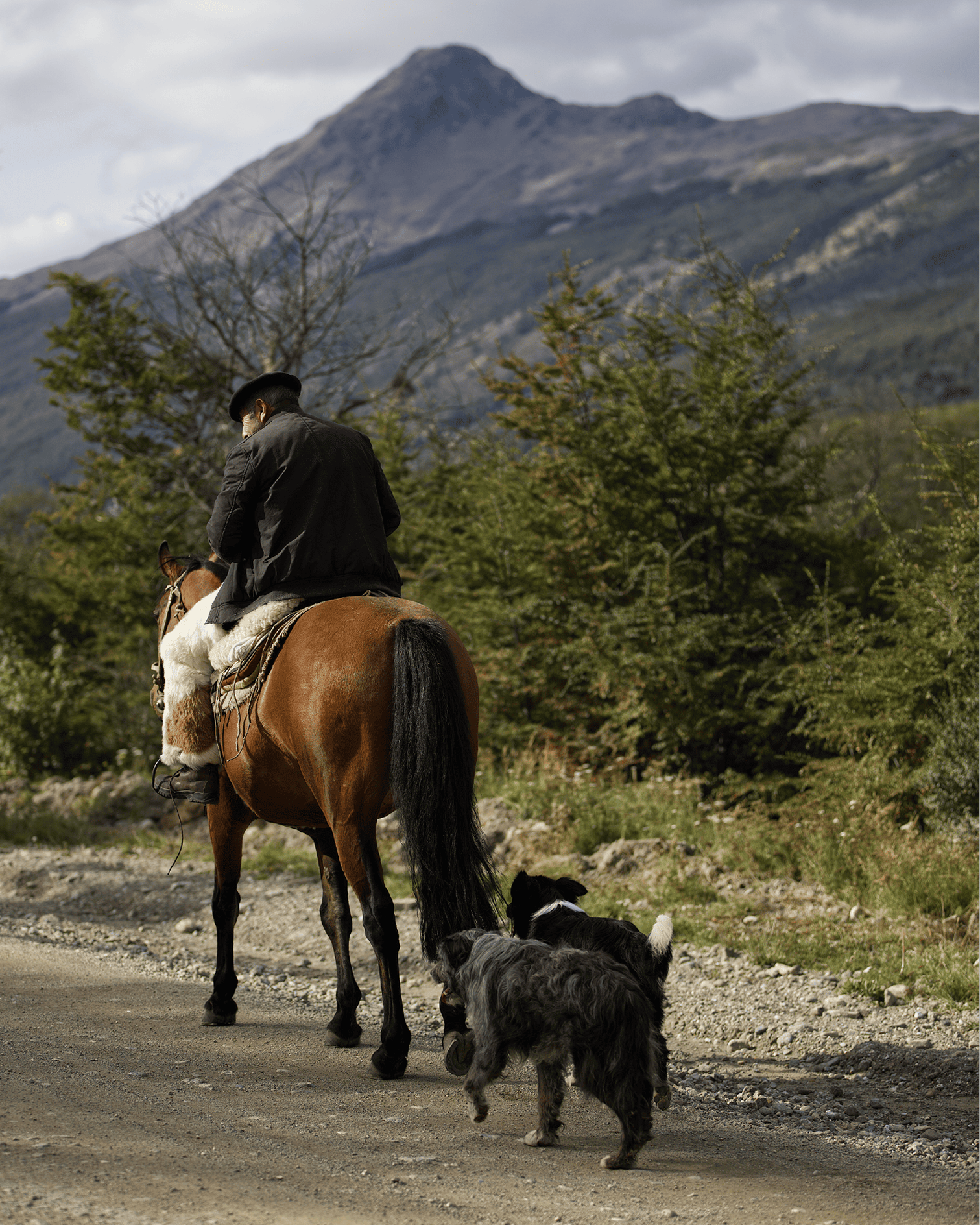 FFP community — riders sharing the road